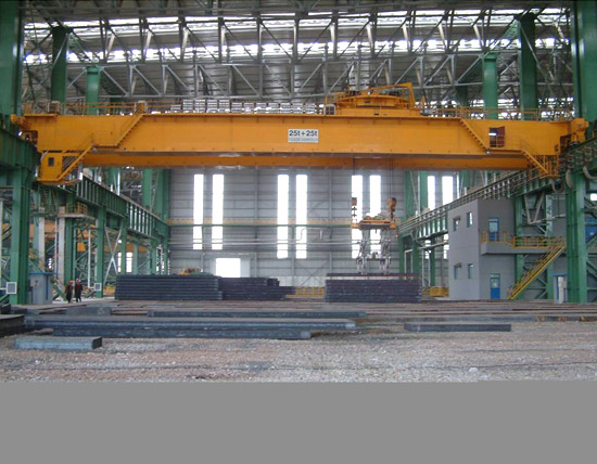 Slewing Tong Crane